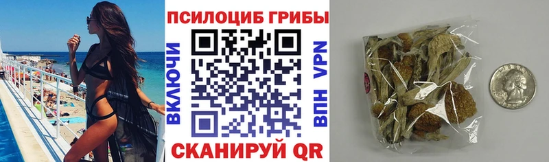 omg маркетплейс  Курган  Галлюциногенные грибы MAGIC MUSHROOMS 